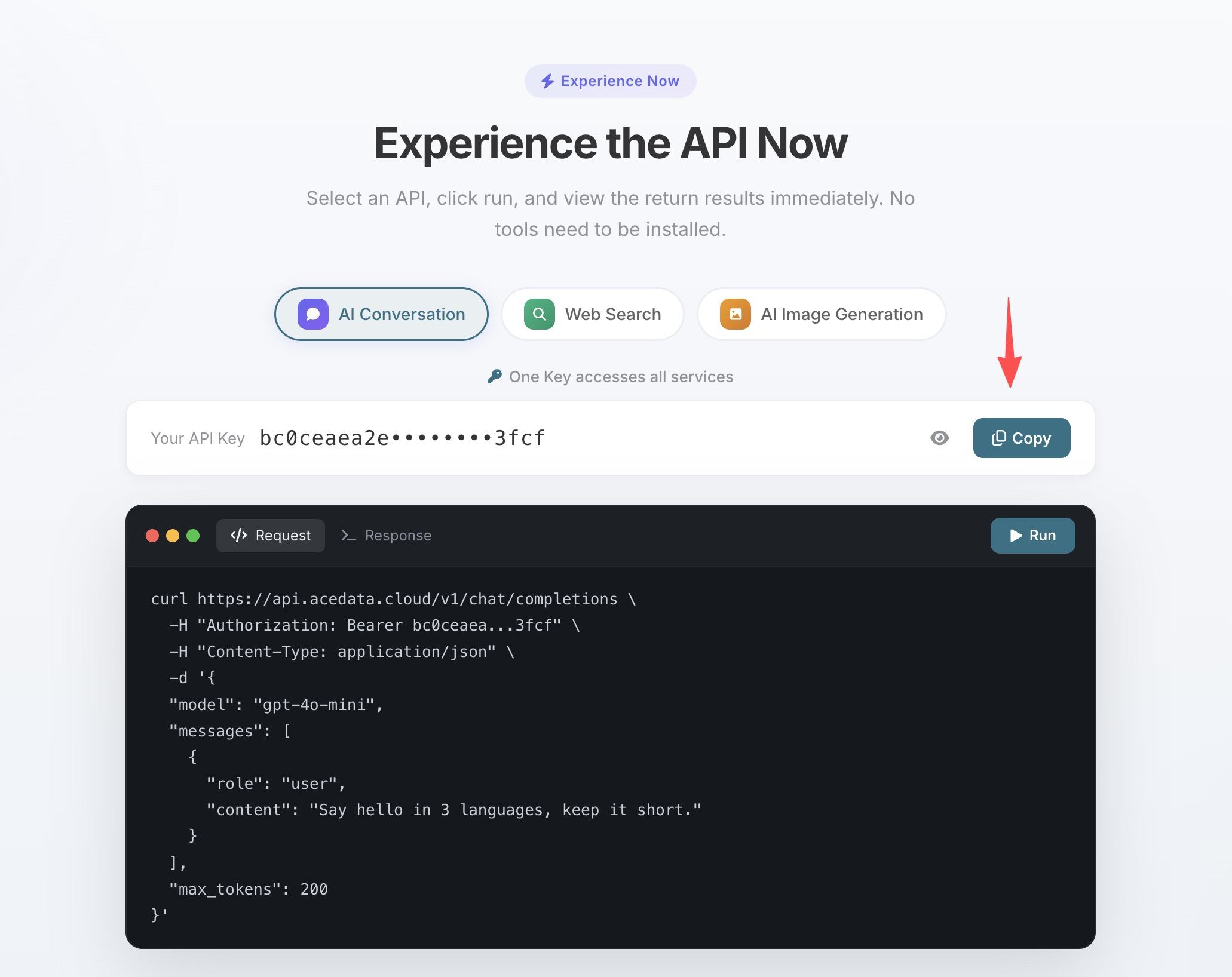 AceData Cloud 平台首页 Token