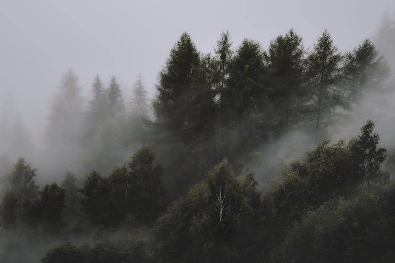 Air Quality Dataset