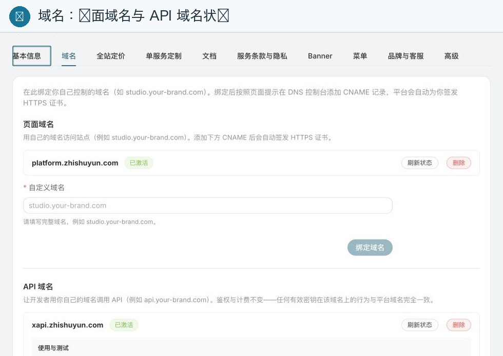 Zhishuyun Domain Configuration: Page Domain and API Domain Status, CNAME and Verification Entry