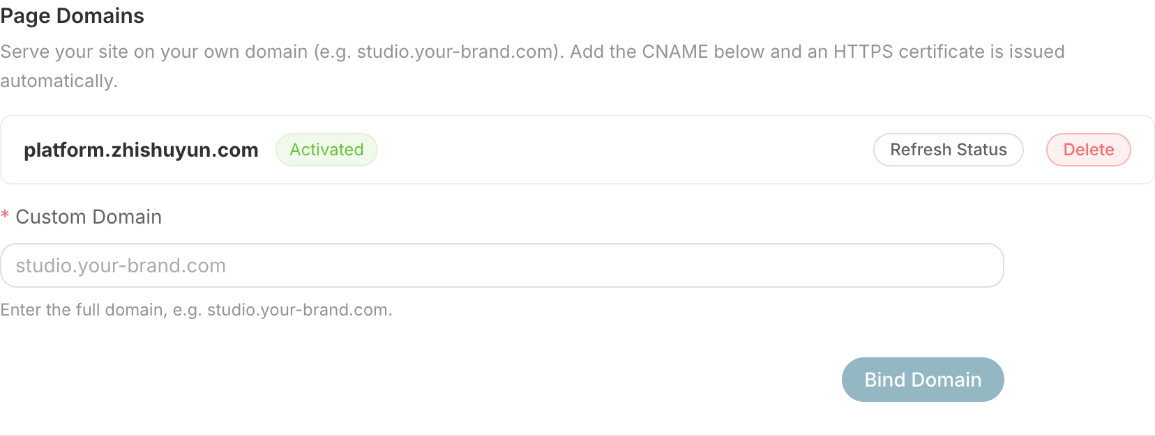 Upper part of custom domain: page domain, binding input box, and refresh status