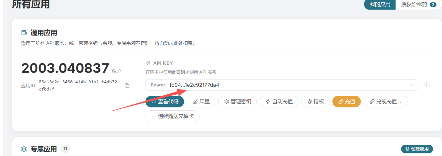 Copy API Key